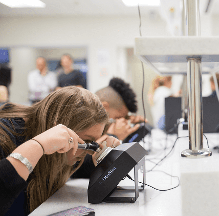 Hearing Loss Researchers Using ENT Equipment